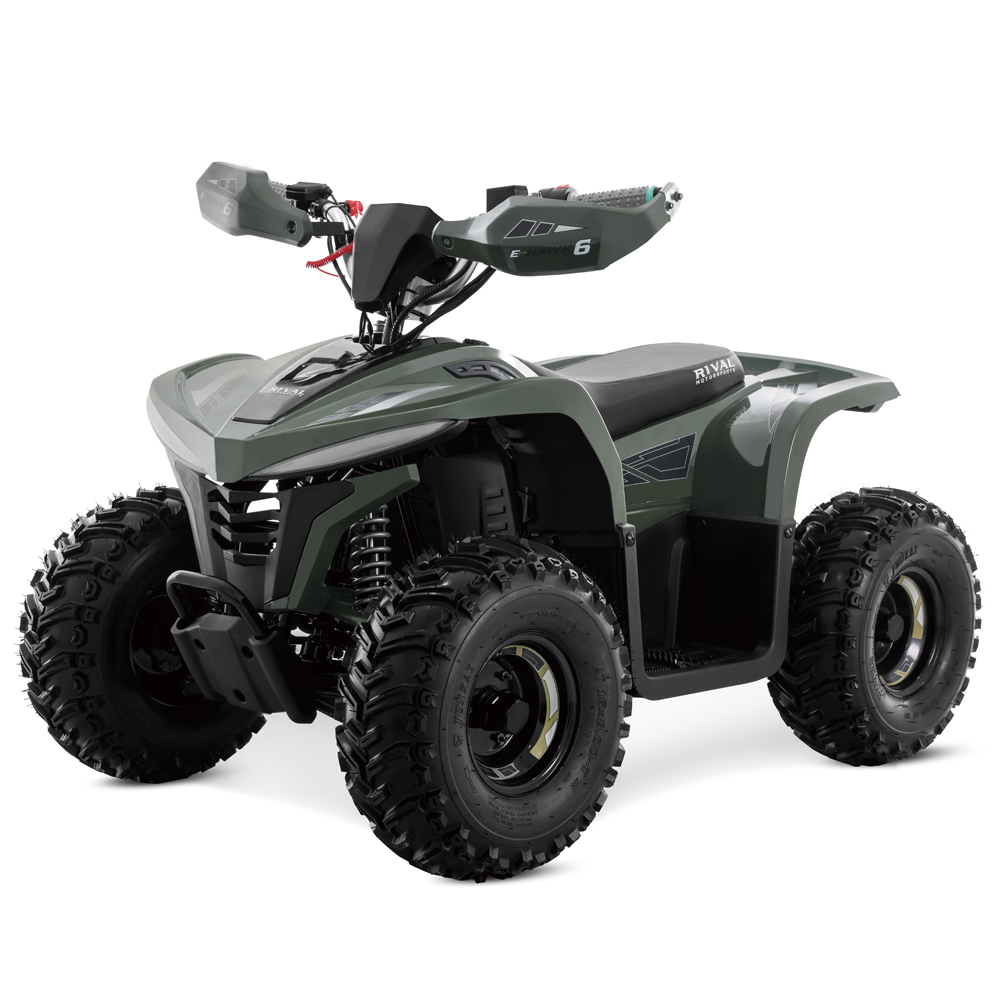 ATV Dečiji kvad električni Tao Motor 1600W Litijum EKO – Zeleni ATV Dečiji kvad električni Tao Motor 1600W Litijum EKO – Zeleni