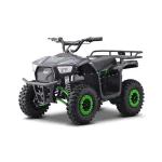 ATV Dečiji kvad – Mini Max Električni/Aku Tao Moto 1000w – Zeleni