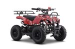 ATV Dečiji kvad – Mini 50cc Benzinski Tao Moto – Crveni patern